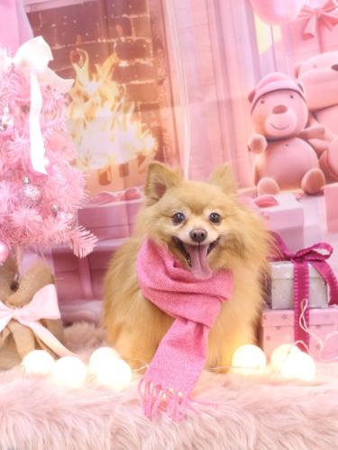 20241203リーくん